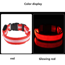 Load image into Gallery viewer, Dog Collar USB Charging LED Light Flashing Nylon Dog Leash For Puppy Small Medium Large Dog Walking Safe Pet Supplies
