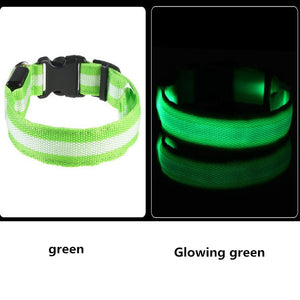 Dog Collar USB Charging LED Light Flashing Nylon Dog Leash For Puppy Small Medium Large Dog Walking Safe Pet Supplies