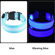 Load image into Gallery viewer, Dog Collar USB Charging LED Light Flashing Nylon Dog Leash For Puppy Small Medium Large Dog Walking Safe Pet Supplies
