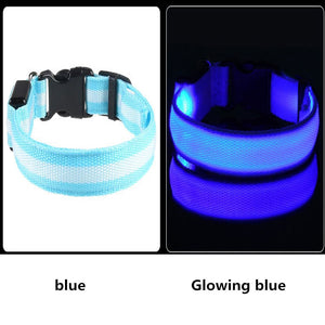 Dog Collar USB Charging LED Light Flashing Nylon Dog Leash For Puppy Small Medium Large Dog Walking Safe Pet Supplies