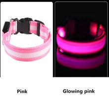 Load image into Gallery viewer, Dog Collar USB Charging LED Light Flashing Nylon Dog Leash For Puppy Small Medium Large Dog Walking Safe Pet Supplies
