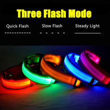 Load image into Gallery viewer, Dog Collar USB Charging LED Light Flashing Nylon Dog Leash For Puppy Small Medium Large Dog Walking Safe Pet Supplies
