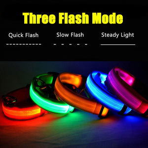 Dog Collar USB Charging LED Light Flashing Nylon Dog Leash For Puppy Small Medium Large Dog Walking Safe Pet Supplies