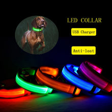 Load image into Gallery viewer, Dog Collar USB Charging LED Light Flashing Nylon Dog Leash For Puppy Small Medium Large Dog Walking Safe Pet Supplies
