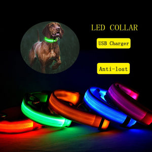 Dog Collar USB Charging LED Light Flashing Nylon Dog Leash For Puppy Small Medium Large Dog Walking Safe Pet Supplies