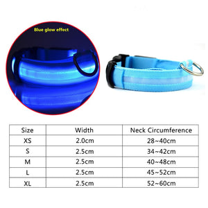 Dog Collar USB Charging LED Light Flashing Nylon Dog Leash For Puppy Small Medium Large Dog Walking Safe Pet Supplies