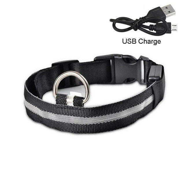 Dog Collar USB Charging LED Light Flashing Nylon Dog Leash For Puppy Small Medium Large Dog Walking Safe Pet Supplies