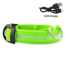 Load image into Gallery viewer, Dog Collar USB Charging LED Light Flashing Nylon Dog Leash For Puppy Small Medium Large Dog Walking Safe Pet Supplies
