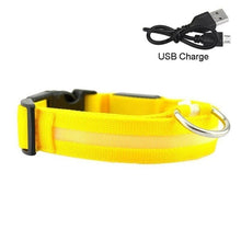 Load image into Gallery viewer, Dog Collar USB Charging LED Light Flashing Nylon Dog Leash For Puppy Small Medium Large Dog Walking Safe Pet Supplies
