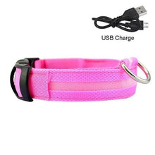 Load image into Gallery viewer, Dog Collar USB Charging LED Light Flashing Nylon Dog Leash For Puppy Small Medium Large Dog Walking Safe Pet Supplies
