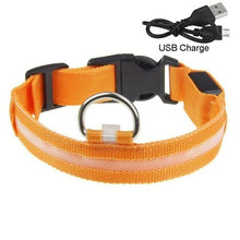 Load image into Gallery viewer, Dog Collar USB Charging LED Light Flashing Nylon Dog Leash For Puppy Small Medium Large Dog Walking Safe Pet Supplies
